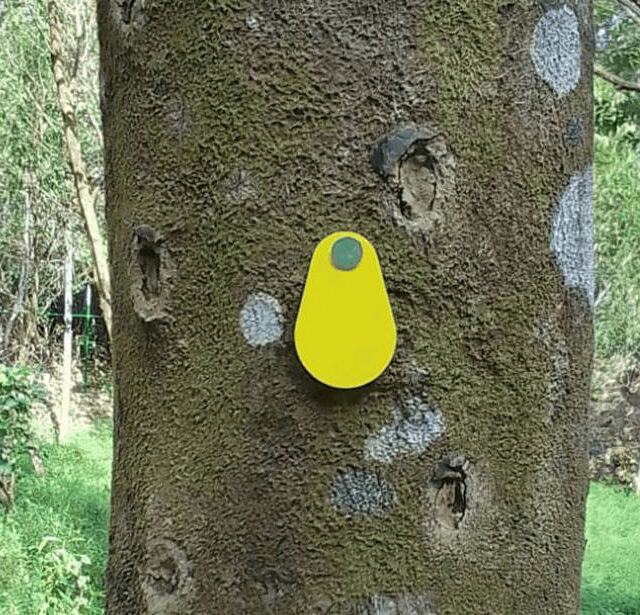 Sadaharitha Plantations