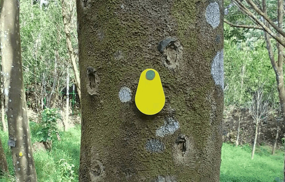 Sadaharitha Plantations